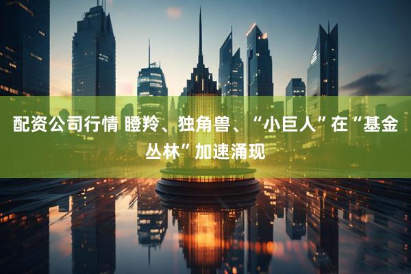 配资公司行情 瞪羚、独角兽、“小巨人”在“基金丛林”加速涌现
