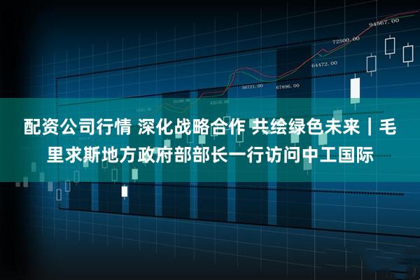 配资公司行情 深化战略合作 共绘绿色未来｜毛里求斯地方政府部部长一行访问中工国际